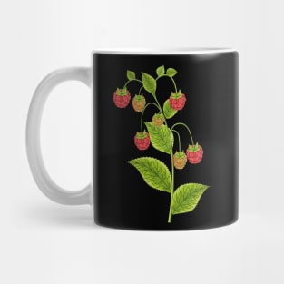 Raspberries Mug